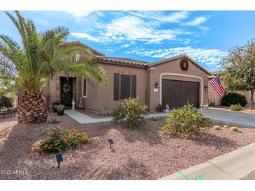 Single-story home with a two-car garage and landscaped yard at 42833 W Mallard Rd, Maricopa, AZ 85138