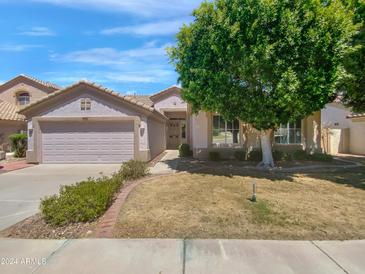 Two-car garage and neatly landscaped front yard at 3691 S Barberry Pl, Chandler, AZ 85248