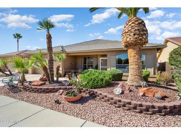 Well-maintained front yard with mature landscaping at 18059 W Hickcox Dr, Surprise, AZ 85374