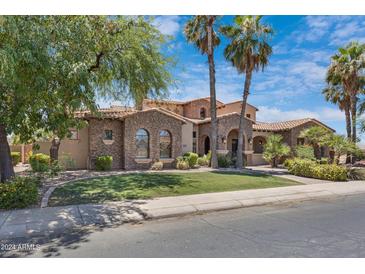 Elegant stone house with palm trees and manicured lawn at 4327 E Capricorn Pl, Chandler, AZ 85249