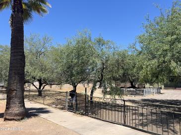 Front yard with trees, gate, and sidewalk at 1522 W Fillmore St, Phoenix, AZ 85007