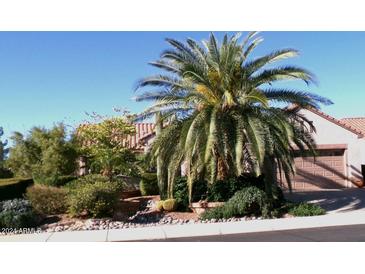 Landscaped front yard with a large palm tree and desert plants at 15576 W Coral Pointe Dr, Surprise, AZ 85374