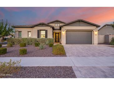 Charming one-story home with gray exterior and landscaped front yard at 4145 S Zephyr --, Mesa, AZ 85212