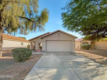 Single-story home with a two-car garage and well-maintained landscaping at 11527 E Contessa St, Mesa, AZ 85207