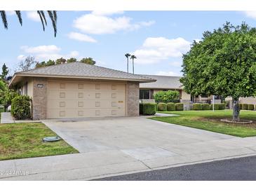 Single-car garage with driveway and landscaping at 9701 W Oak Ridge Dr, Sun City, AZ 85351