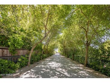 Long driveway leading to the house, lined with lush trees at 6644 E Exeter Blvd, Scottsdale, AZ 85251