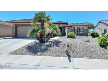One-story house with desert landscaping at 17041 W Artesia Dr, Surprise, AZ 85387