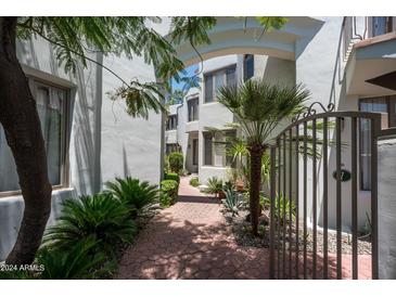 Inviting entryway with a cobblestone path and lush landscaping at 4955 E Indian School Rd # 9, Phoenix, AZ 85018