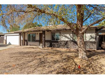 Single story home with a two car garage and mature tree at 748 S Rico Cir, Mesa, AZ 85204