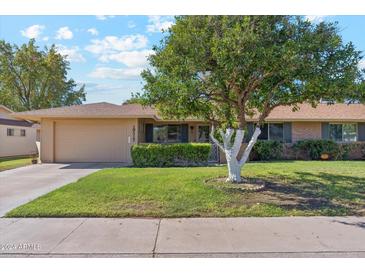 Single story home with a well-maintained lawn and mature trees at 10317 W Prairie Hills Cir, Sun City, AZ 85351
