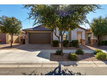 Single-story home with brown garage door and landscaping at 10065 E Thatcher Ave, Mesa, AZ 85212