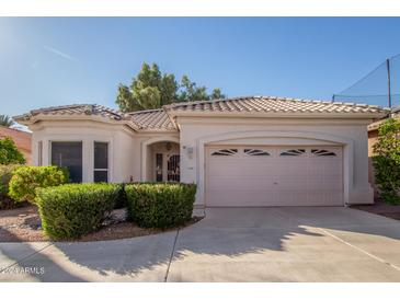 Single story home with a two car garage and well manicured landscaping at 11544 W Javelina Ct, Surprise, AZ 85378