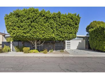 Mid-century modern home with landscaped front yard, featuring a large tree and two-car garage at 8614 E Berridge Ln, Scottsdale, AZ 85250