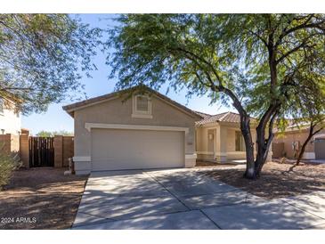 Single-story house with a two-car garage and landscaped yard at 15607 N 168Th Ave, Surprise, AZ 85374