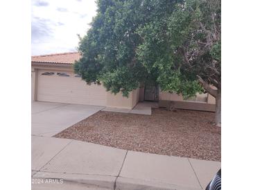 One-story house with attached garage and mature landscaping at 16147 W Central St, Surprise, AZ 85374