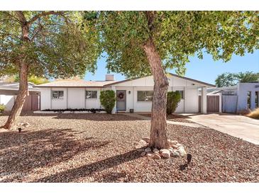 Charming single story home with a well manicured front yard and mature trees at 18025 N Villa Rita Dr, Phoenix, AZ 85032