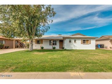 White brick ranch home with a spacious lawn and mature tree at 142 W Ivanhoe Pl, Chandler, AZ 85225