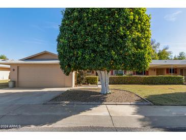 Single story home with attached garage and large, mature tree in front yard at 10428 W Camelot Cir, Sun City, AZ 85351