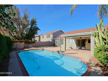 Large backyard pool with patio and access to house at 4047 E Rowel Rd, Phoenix, AZ 85050