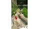 Serene backyard water feature with stonework and red bird statues at 10100 N 78Th Pl, Scottsdale, AZ 85258