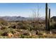Image 4 of 8: 14610 N Adero Canyon Dr, Fountain Hills