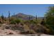 Image 1 of 6: 9264 E Superstition Mountain Dr, Gold Canyon