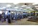 Well-equipped fitness center with various exercise machines at 42833 W Mallard Rd, Maricopa, AZ 85138