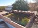 Landscaped backyard with a wall and a tree providing shade at 25645 W Blue Sky Dr, Wittmann, AZ 85361