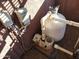Image of pool pump and filter system at 25645 W Blue Sky Dr, Wittmann, AZ 85361