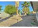 Backyard with palm trees and gravel ground cover at 4522 N 14Th Ave, Phoenix, AZ 85013