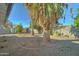 Landscaped backyard with palm trees and gravel at 4522 N 14Th Ave, Phoenix, AZ 85013