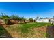 Large grassy backyard with a wooden fence and storage shed at 1401 E Osborn Rd, Phoenix, AZ 85014
