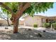 Image 1 of 17: 13317 W Copperstone Dr, Sun City West