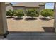 Landscaped backyard with gravel and mature citrus trees at 2101 S Meridian Rd # 215, Apache Junction, AZ 85120