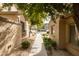 Well-manicured walkway leading to the home's entrance at 3704 W Vivian Ct, Phoenix, AZ 85086