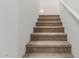 Carpeted stairs leading to the upper level at 17065 W Molly Ln, Surprise, AZ 85387