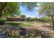 Spacious backyard with pool, patio, and mature trees at 22020 E Stoney Vista Dr, Queen Creek, AZ 85142