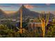 Scenic sunset view of desert landscape with saguaro cacti and homes at 10751 E Candlewood Dr, Scottsdale, AZ 85255