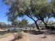 Community tennis courts nestled amongst mature trees near a lake at 2511 W Queen Creek Rd # 378, Chandler, AZ 85248