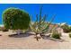 Image 3 of 41: 16243 W Desert Canyon Dr, Surprise