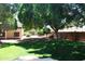 Spacious backyard with a large tree and grassy area at 5342 W West Wind Dr, Glendale, AZ 85310