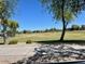 Scenic view of a neighborhood park with grassy areas and mature trees at 3260 E Mead Dr, Gilbert, AZ 85298