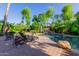 Inviting backyard oasis featuring a sparkling pool, lounge chairs, and lush landscaping at 2069 E Cedar Pl, Chandler, AZ 85249