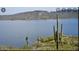 Scenic lake view with cacti in the foreground at 15788 W Mariposa Grande Ave, Surprise, AZ 85387