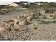 Landscaped area with large rocks and native plants at 15788 W Mariposa Grande Ave, Surprise, AZ 85387
