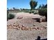 Landscaped front yard with desert landscaping and golf course views at 15717 W Linksview Dr, Surprise, AZ 85374