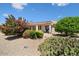 Landscaped backyard with patio and desert plants at 15717 W Linksview Dr, Surprise, AZ 85374