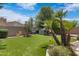 Landscaped backyard with artificial turf and playset at 4327 E Capricorn Pl, Chandler, AZ 85249