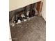 Utility closet with exposed plumbing and flooring at 46157 W Holly Dr, Maricopa, AZ 85139