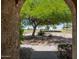 View from entryway through arch to landscaped yard at 1972 S Clubhouse Dr, Casa Grande, AZ 85194